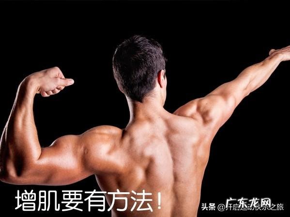 增肌需要注意什么,我都断断续续坚持一年了,体重还是变化不大