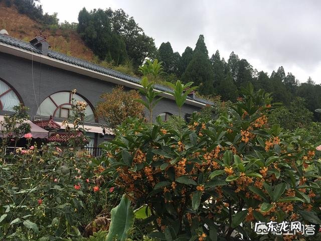 工作和生活，你认为哪个更重要