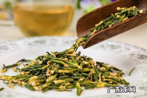 苦丁茶的功效与作用及禁忌是什么