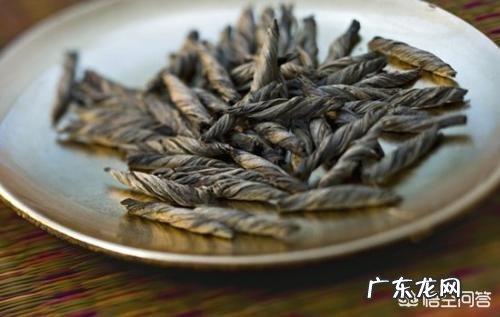 苦丁茶的功效与作用及禁忌是什么