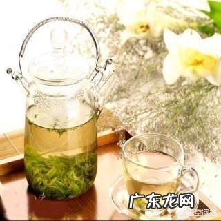 苦丁茶的功效与作用及禁忌是什么