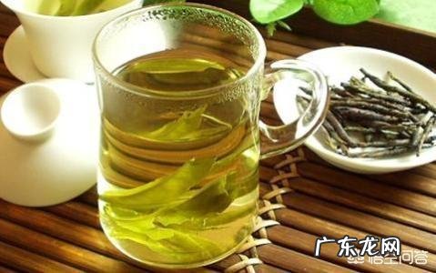 苦丁茶的功效与作用及禁忌是什么