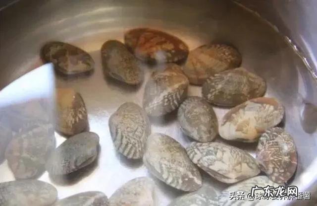 冬瓜适合跟什么食材搭配煮汤?