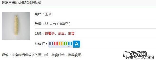减肥期间，上班中午只能在外面吃，可以吃些什么？