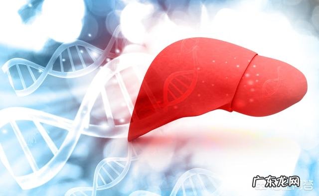 脂肪肝是一种什么样的情况要不要采取什么措施