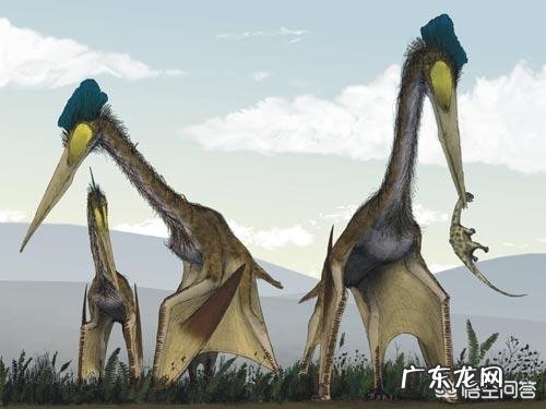 人的力气大于狗为什么有时候会打不过狗? 为什么人老打不过狗