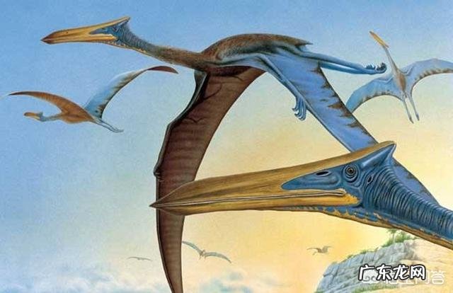 人的力气大于狗为什么有时候会打不过狗? 为什么人老打不过狗