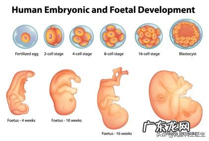 环磷酰胺是一种什么样的神药，他能够zhi癌症？