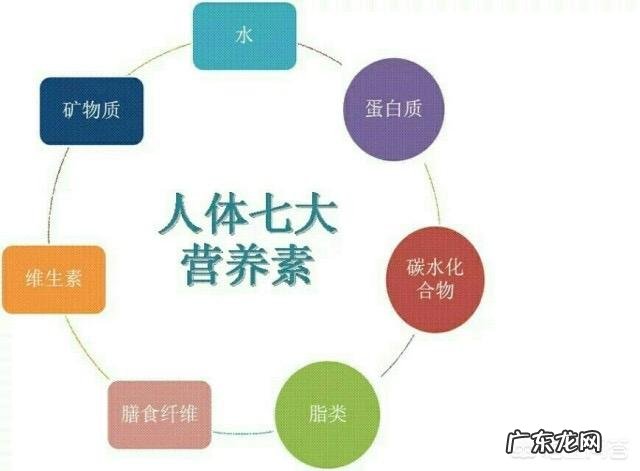 减肥的人选择低碳水饮食会带来哪些危害呢?有何依据?