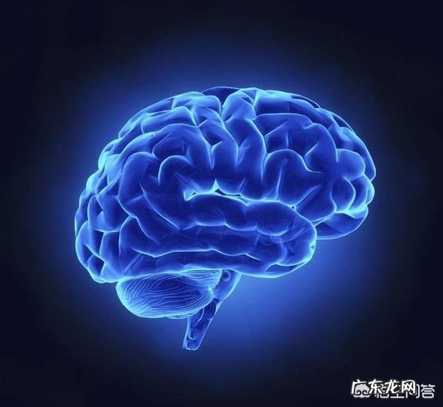 减肥的人选择低碳水饮食会带来哪些危害呢?有何依据?