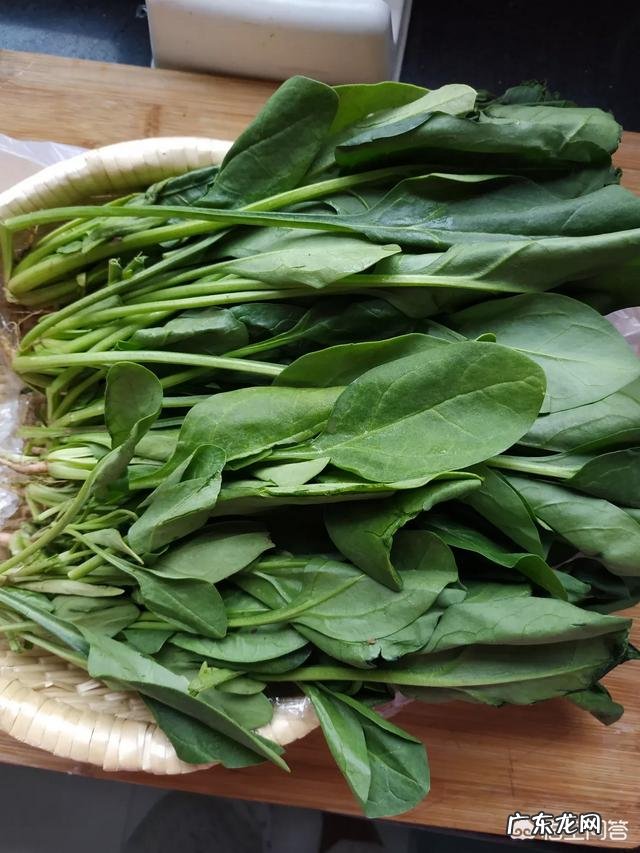 凉拌菠菜胡萝卜粉丝 菠菜和胡萝卜能一起凉拌吗？