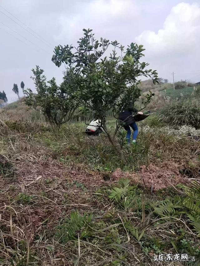 为什么很多四川人外出打工不选择成都，而去重庆浙江广东呢