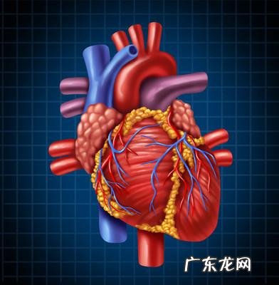 血压高是否会影响心脏问题?