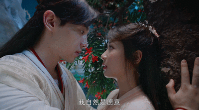 你在网上买了又买的食品是什么？