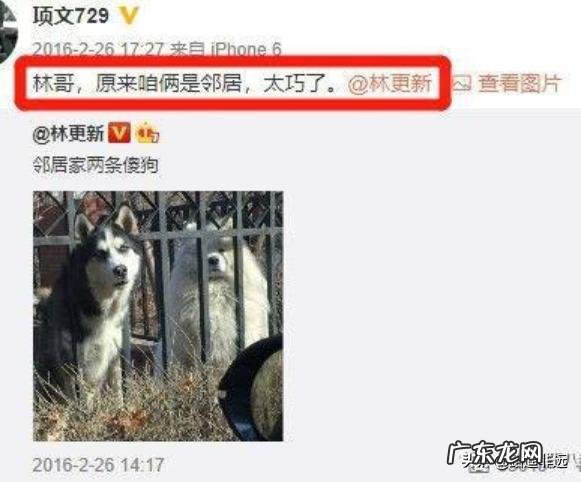 小学生,注意力不集中。做事拖拉怎么办? 孩子上课注意力不集中拖拉怎么办