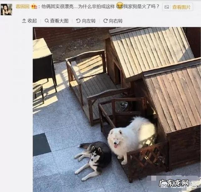 小学生,注意力不集中。做事拖拉怎么办? 孩子上课注意力不集中拖拉怎么办