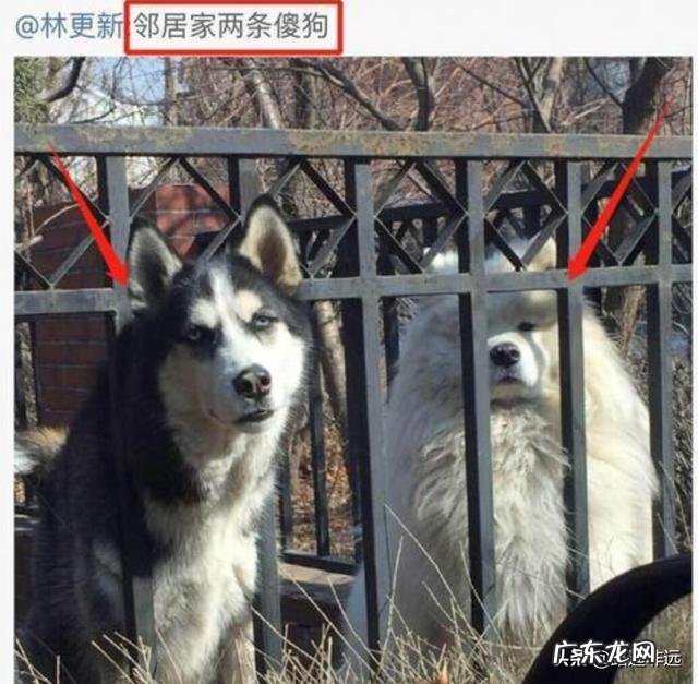 小学生,注意力不集中。做事拖拉怎么办? 孩子上课注意力不集中拖拉怎么办