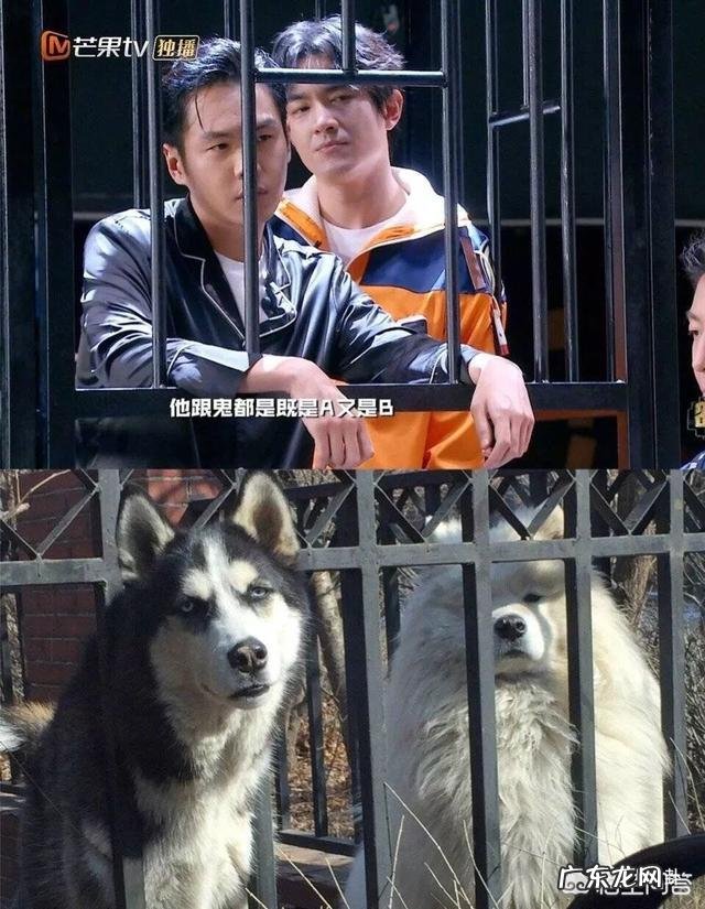 小学生,注意力不集中。做事拖拉怎么办? 孩子上课注意力不集中拖拉怎么办