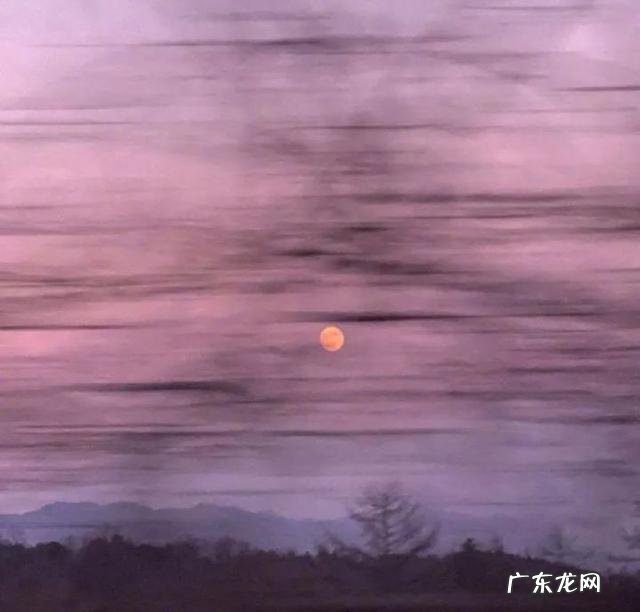 近期你们听过最元气满满的句子是什么?