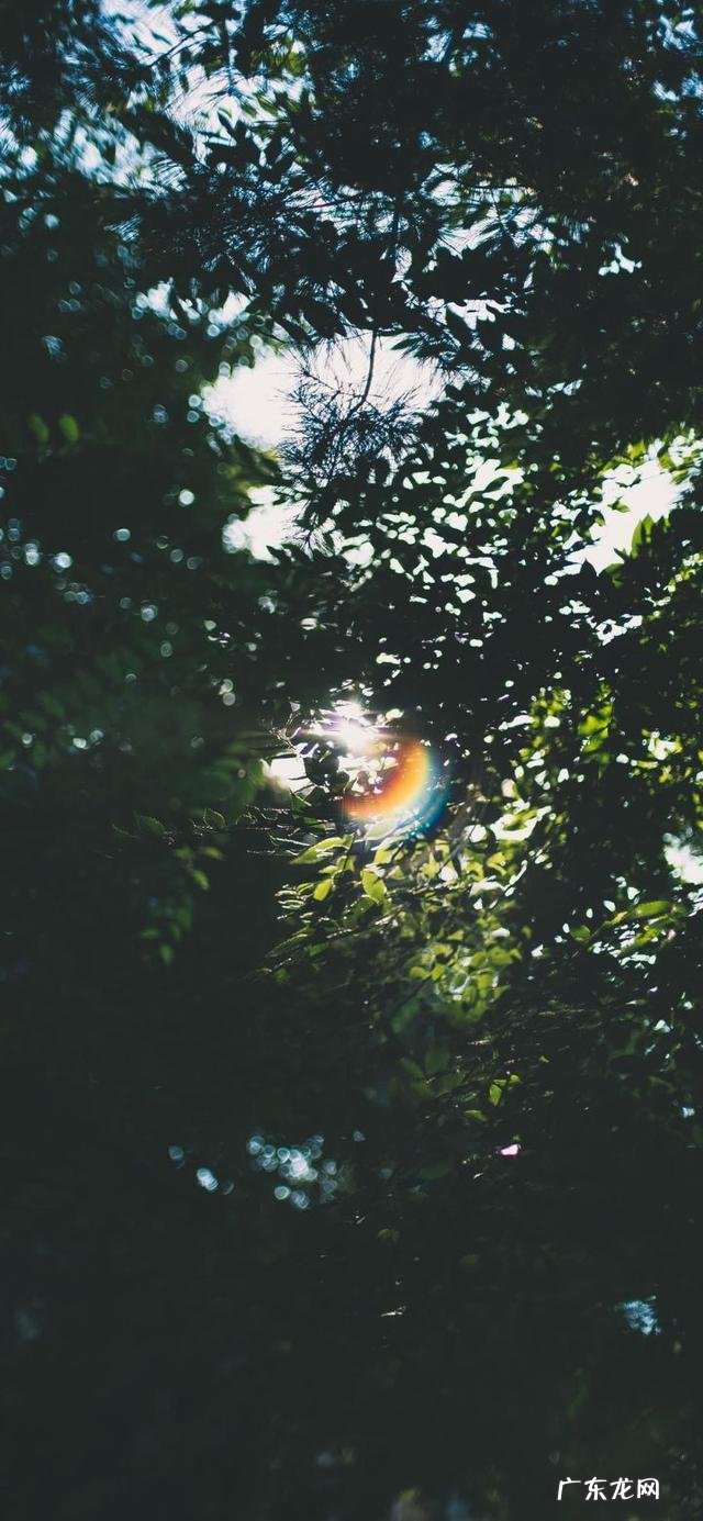 近期你们听过最元气满满的句子是什么?