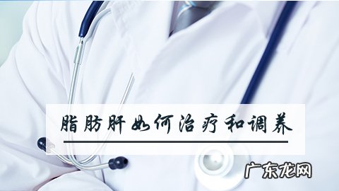 脂肪肝如何治疗和调养