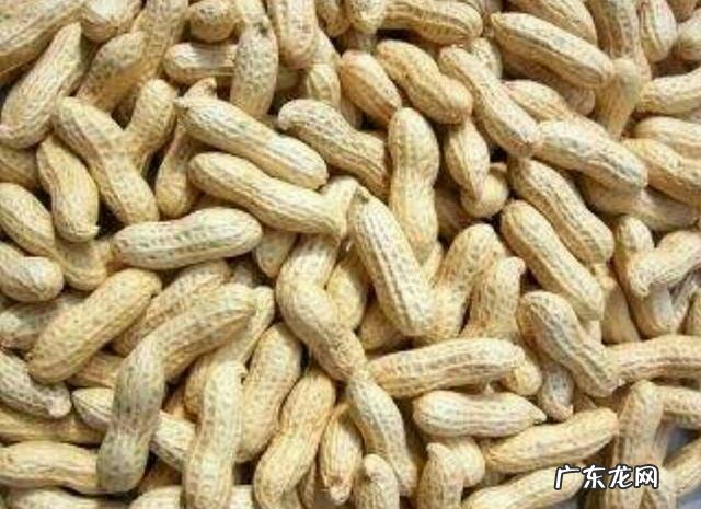 减肥能吃煮干花生吗？为什么？