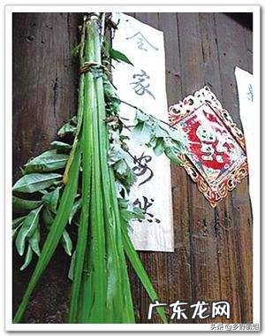 长在农村道路两旁的艾草，到底会不会影响村民健康？