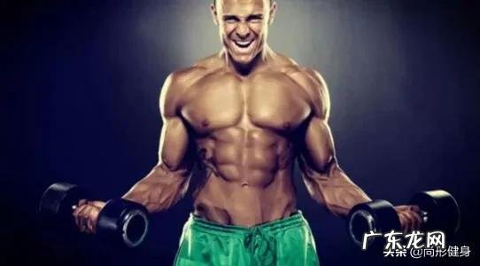 怎么合理安排减肥和增肌?