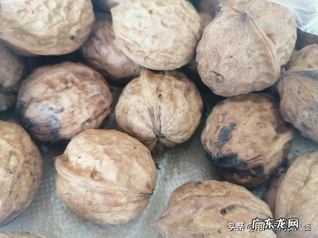 黑全麦黑豆黑燕麦片一起吃营养价值高吗?