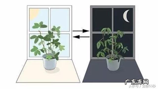 人体最佳的洗澡、睡觉、吃水果是什么时间?