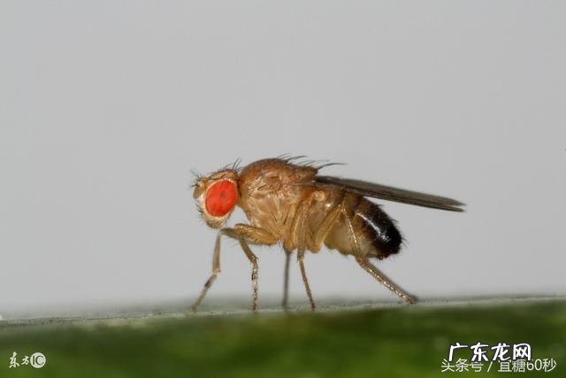 人体最佳的洗澡、睡觉、吃水果是什么时间?