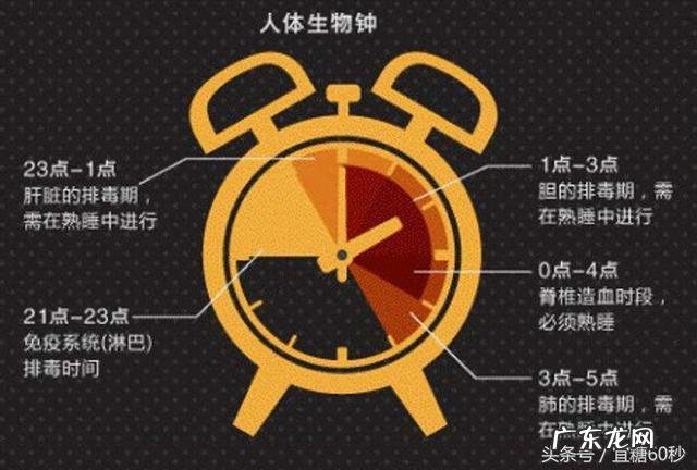 人体最佳的洗澡、睡觉、吃水果是什么时间?