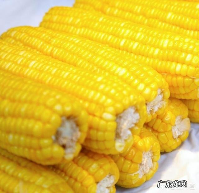 成龙、李连杰、甄子丹、吴京,这四位谁更能打?