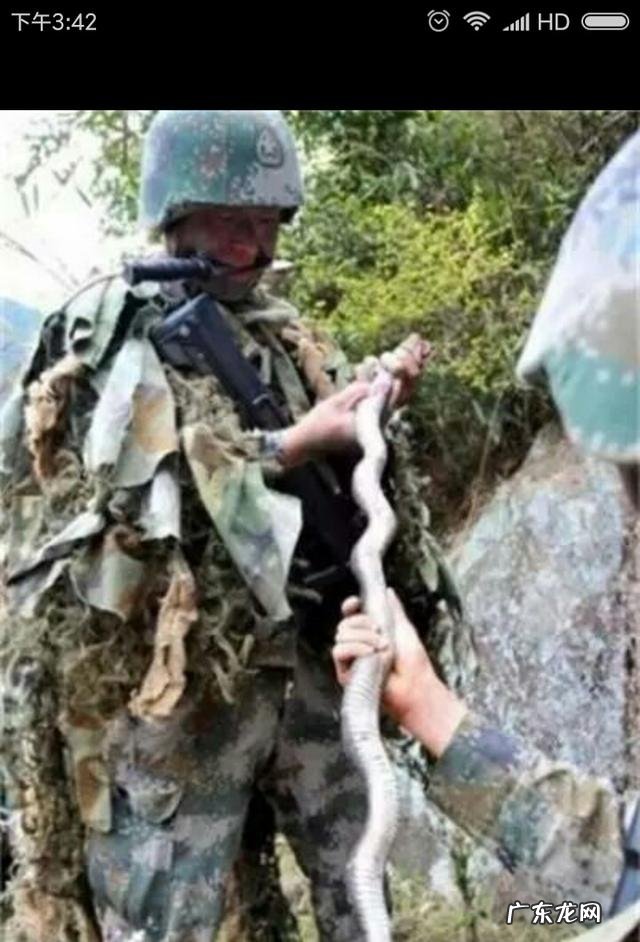 成龙、李连杰、甄子丹、吴京,这四位谁更能打?