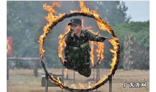 成龙、李连杰、甄子丹、吴京,这四位谁更能打?