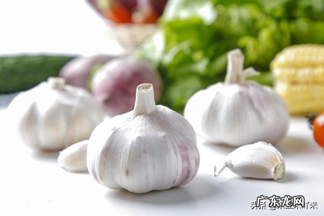 吃什么增强免疫力？汤臣倍健蛋白粉怎么样？