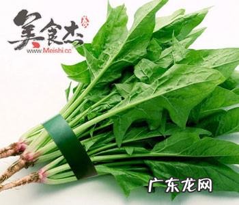 吃什么增强免疫力？汤臣倍健蛋白粉怎么样？