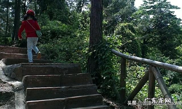 脂肪肝偏高是什么意思平时要注意什么呢