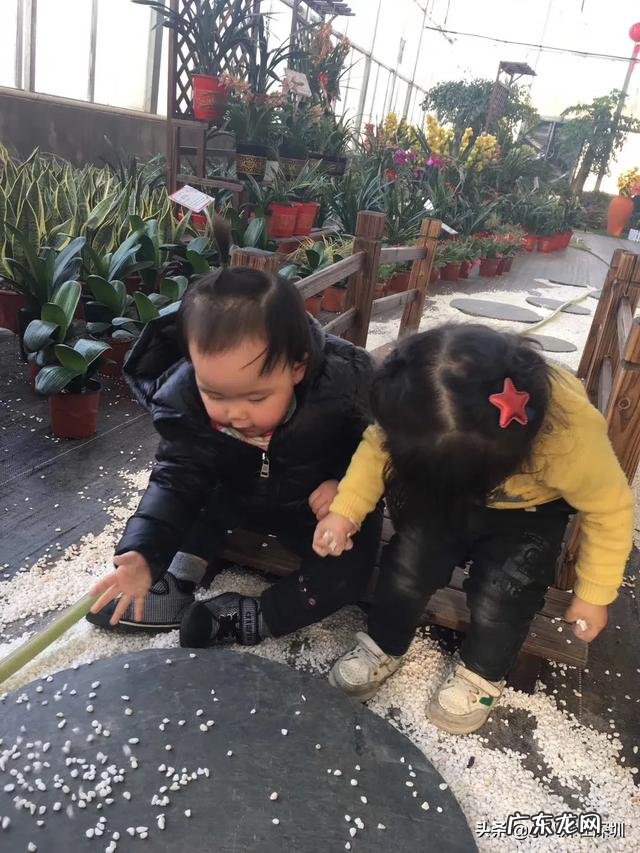 宝宝头发很黄是什么原因?需要补充什么营养元素?