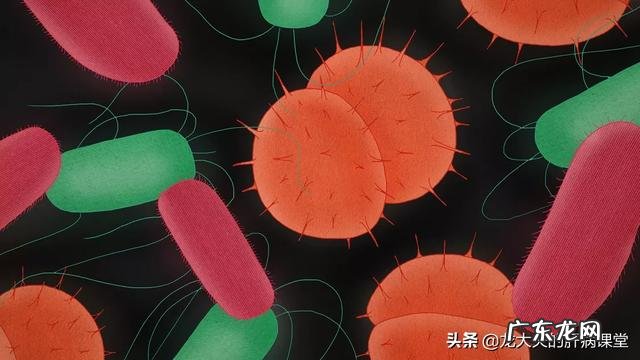 夜晚经常排便正常吗？原因是什么？