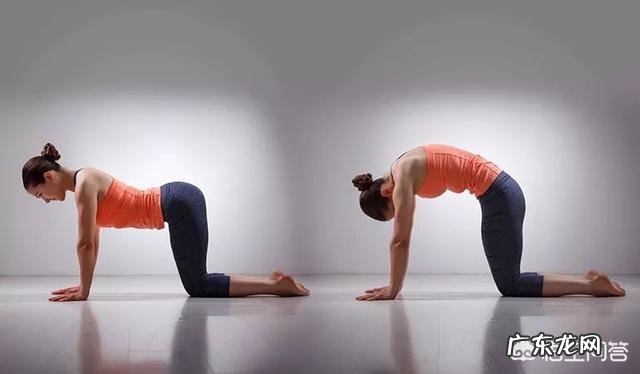 瑜伽练习,如何加强膝盖周围的肌肉?
