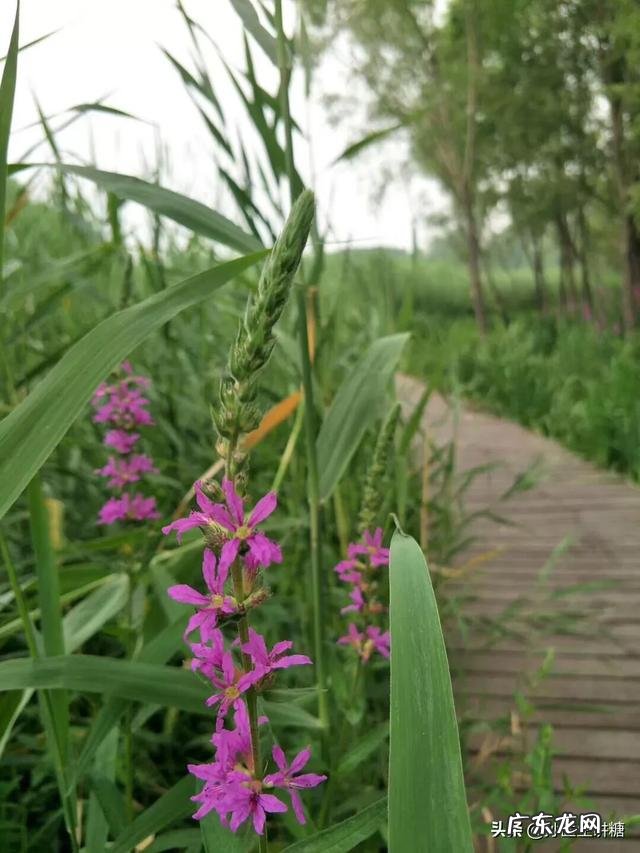 瘦的人也会得糖尿病吗？1型、2型都有可能吗？