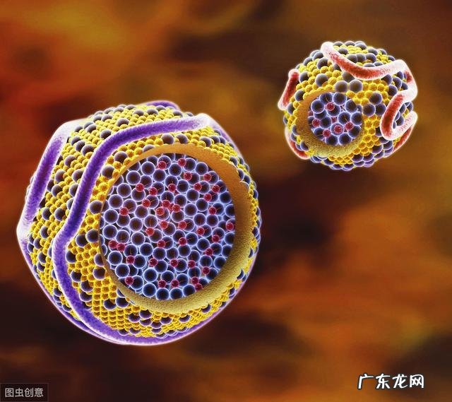 跑步据说有六大坏处,还应该跑步锻炼身体吗?