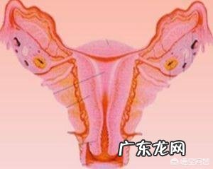 为什么很多女生都有痛经呢?