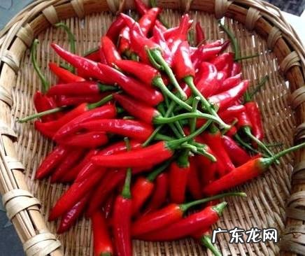 四川人为什么会喜欢麻辣食物