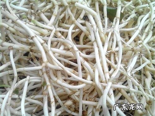 四川人为什么会喜欢麻辣食物