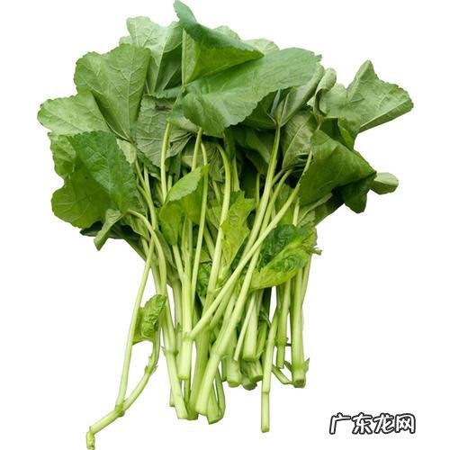 四川人为什么会喜欢麻辣食物