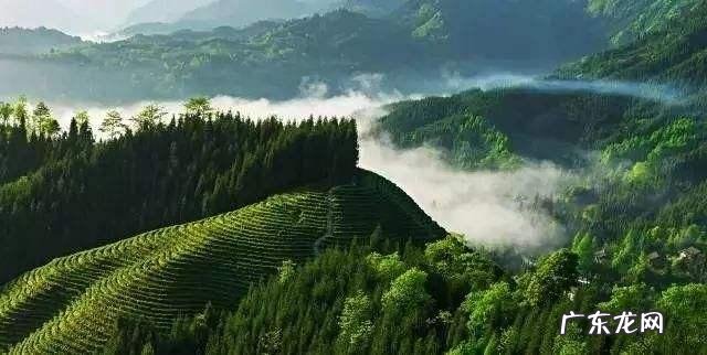 四川人为什么会喜欢麻辣食物