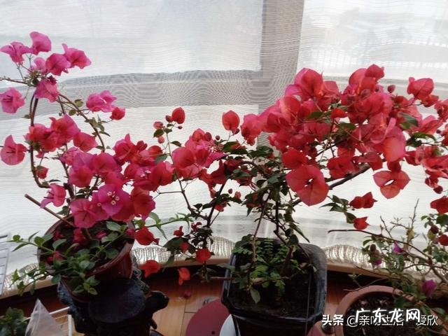 不杜绝坏习惯,身体能健康吗会不会加重