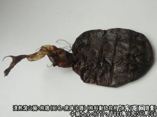 熊胆的功效与作用_熊胆图片